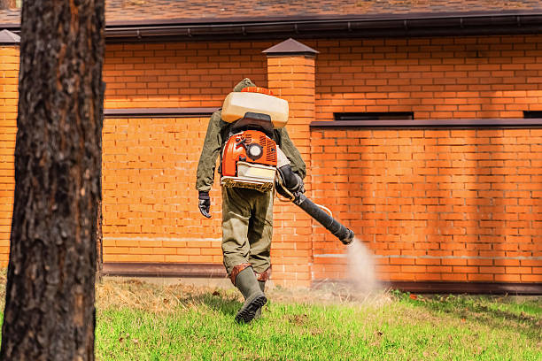 Bed Bug Clearance Verification and Documentation in French Camp